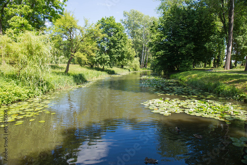Water landscape on a sunny summer day