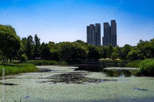 Lake in Seoul Forest Park, Seongdonggu- Seoul, Korea photo