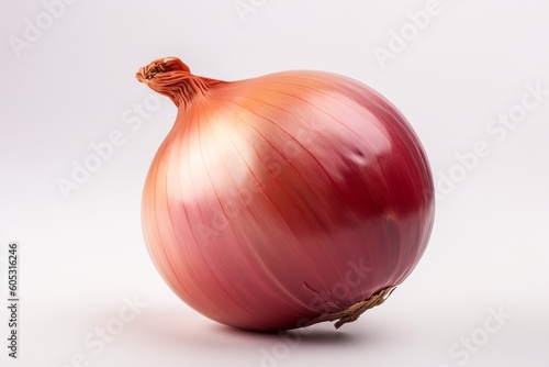 onion drawing on a white background from generative ai