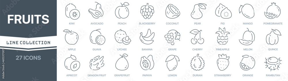 Fruits linear signed icon collection. Signed thin line icons collection. Set of fruits simple outline icons - obrazy, fototapety, plakaty 