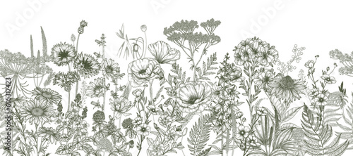 Seamless horizontal pattern of wildflowers and plants. Chamomile, clover, chicory, poppy, cornflower, bells, periwinkle, buttercup, veronica in engraving style