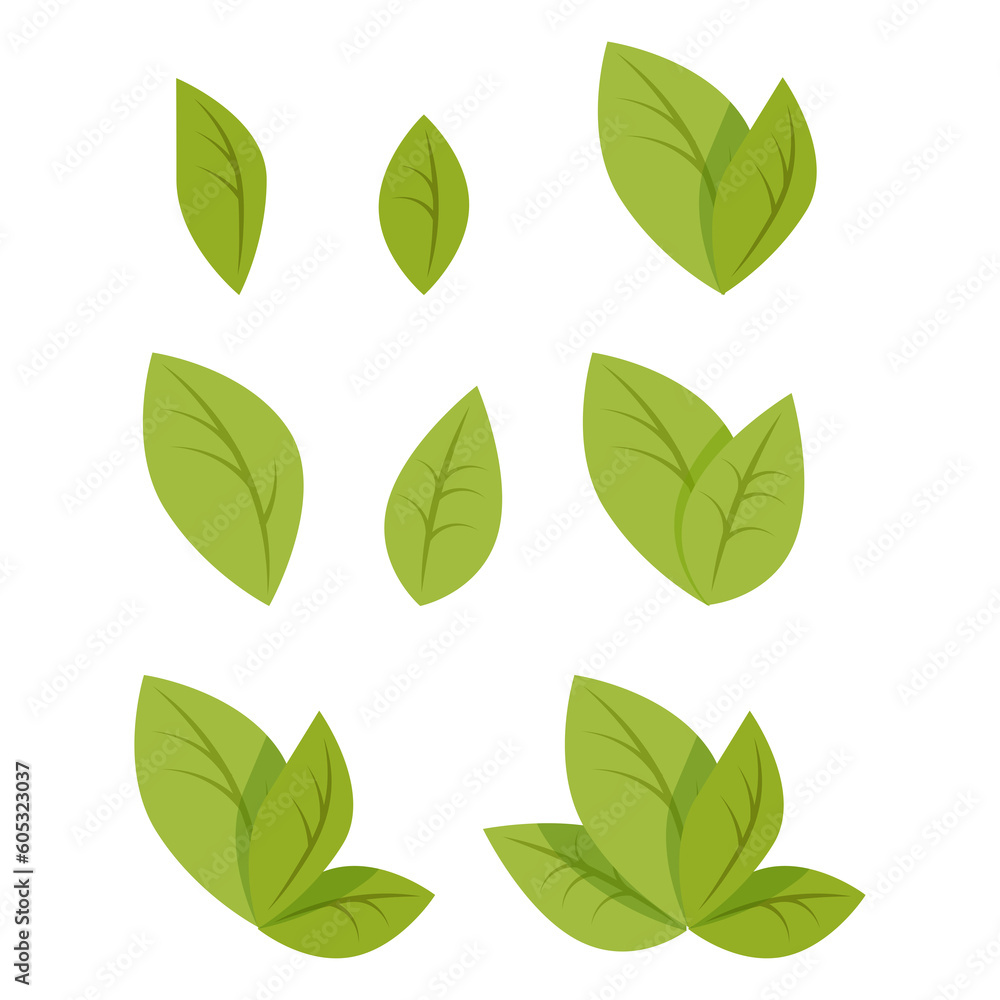 Set of simple green leaves