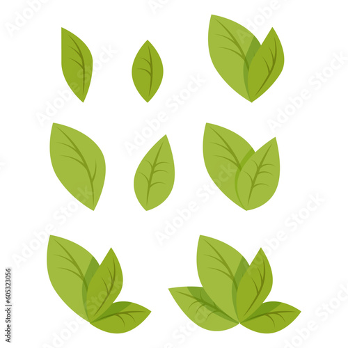 Set of simple green leaves