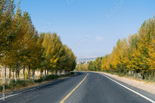 Curved asphalt road surrounded with trees on a sunny day © xy
