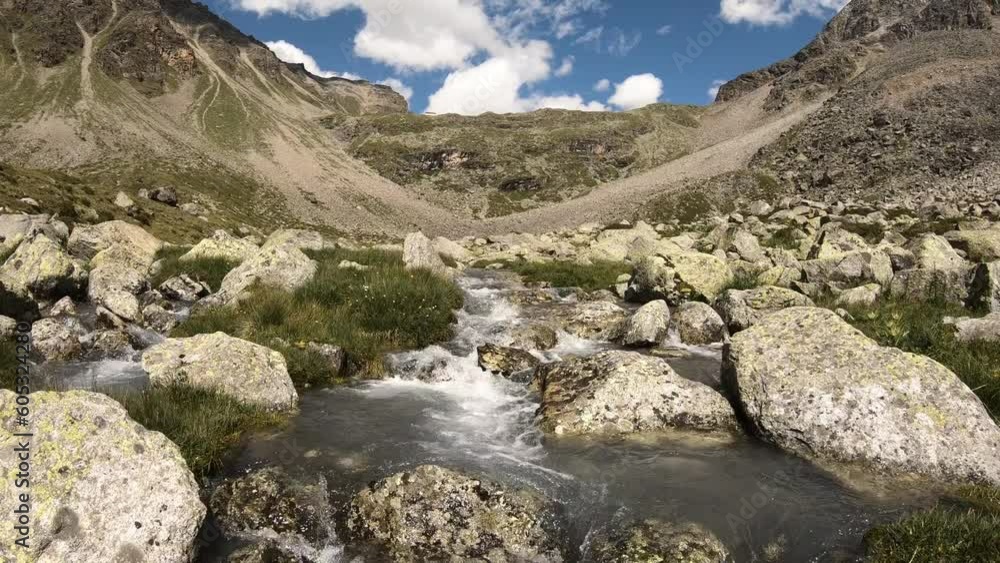 A small creek in the alps in summer A small creek in the alps in summer
