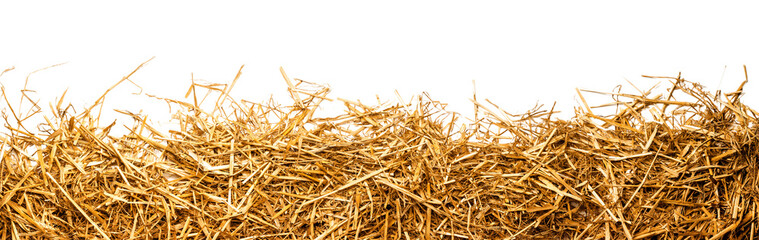 a bunch of straw as border, isolated with transparent background PNG file