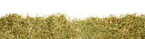 a bunch of hay as banner, isolated on transparent background PNG file
