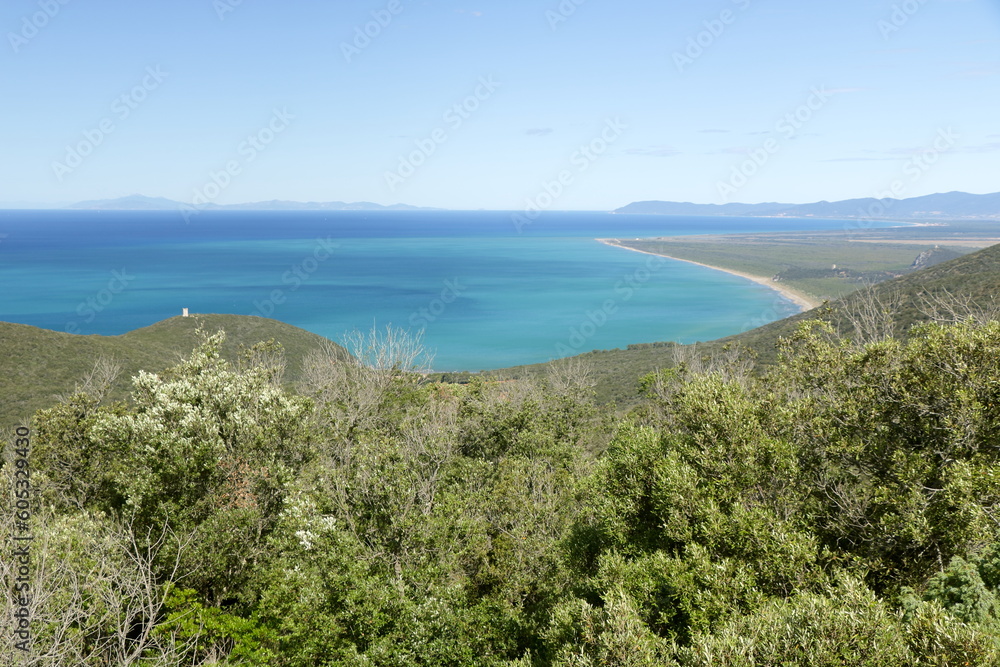 Panorama costiero con macchia mediterranea - Parco Regionale della Maremma - Toscana - Italia Panorama costiero con macchia mediterranea - Parco Regionale della Maremma - Toscana - Italia