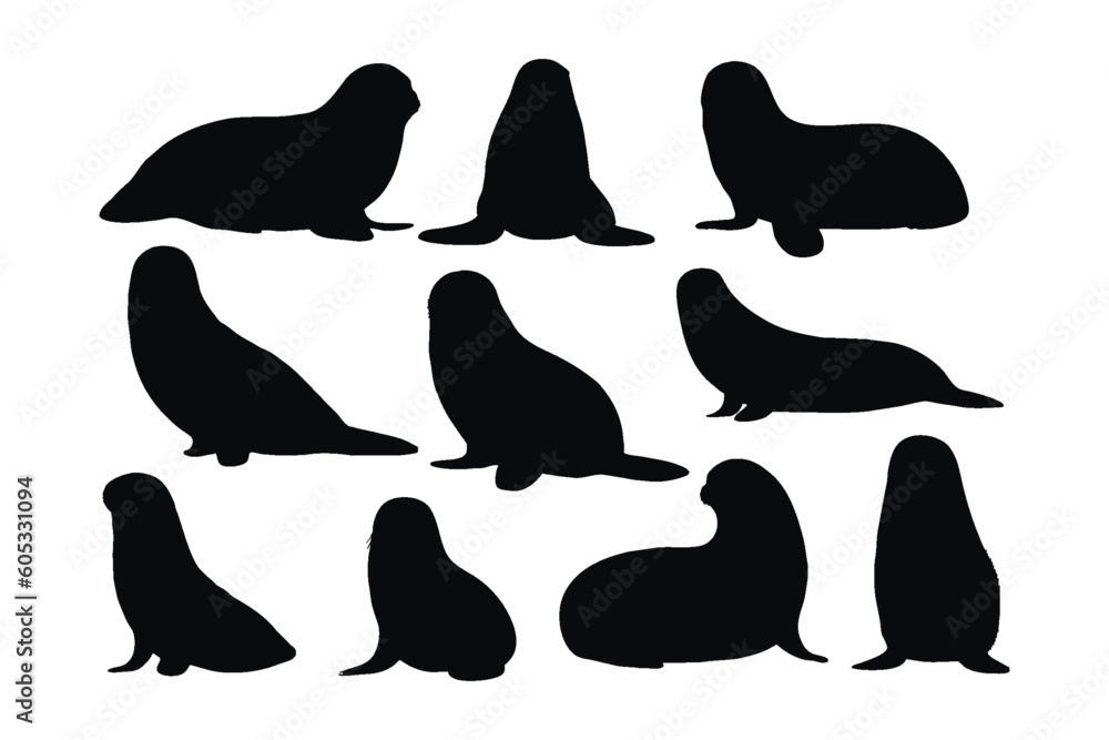 Seals sitting in different positions, silhouette set vector. Small sea lion silhouette collection on a white background. Beautiful sea creatures like seals or sea lions, full body silhouette bundles. Seals sitting in different positions, silhouette set vector. Small sea lion silhouette collection on a white background. Beautiful sea creatures like seals or sea lions, full body silhouette bundles.