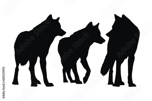 Wolves walking in different positions, silhouette set vector. Adult wolf silhouette collection on a white background. Wild carnivorous animals like wolves and coyotes, full body silhouette bundles.