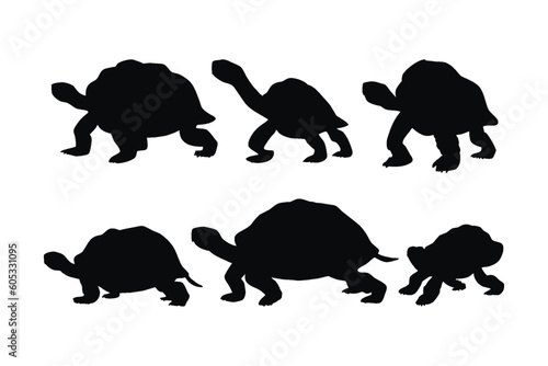 Tortoise walking in different positions, silhouette set vector. Big tortoise silhouette collection on a white background. Wild sea creatures like tortoises or turtles, full body silhouette bundles.