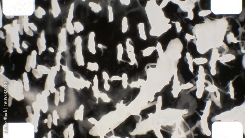 16mm abstract expressive black and white film