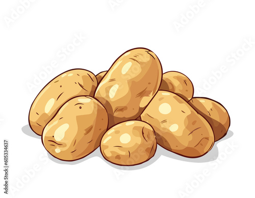 Raw potatoes on white background. Fresh raw unpeeled potatoes vector illustration