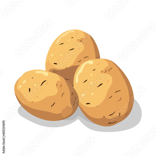 Raw potatoes on white background. Fresh raw unpeeled potatoes vector illustration