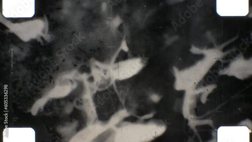 16mm abstract expressive black and white film