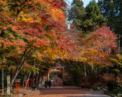 Fall Foliage Autumn Season at Hiyoshi Taisha in Japan photo