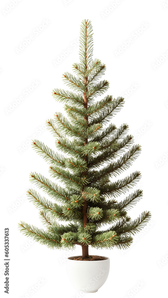 Fir tree isolated on white background. Christmas or New Year decoration. Fir tree isolated on white background. Christmas or New Year decoration.
