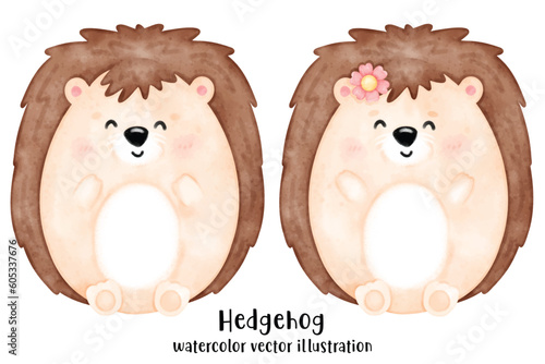 Cute hedgehog, animal, watercolor animal, watercolor vector illustration