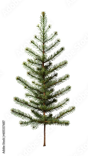 Fir tree isolated on white background. Christmas or New Year decoration © Влад Дубовик