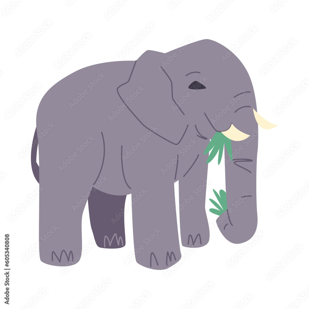 Obraz premium cute elephant is eating grass in cartoon style. side view. isolated on white background. flat vector illustration.