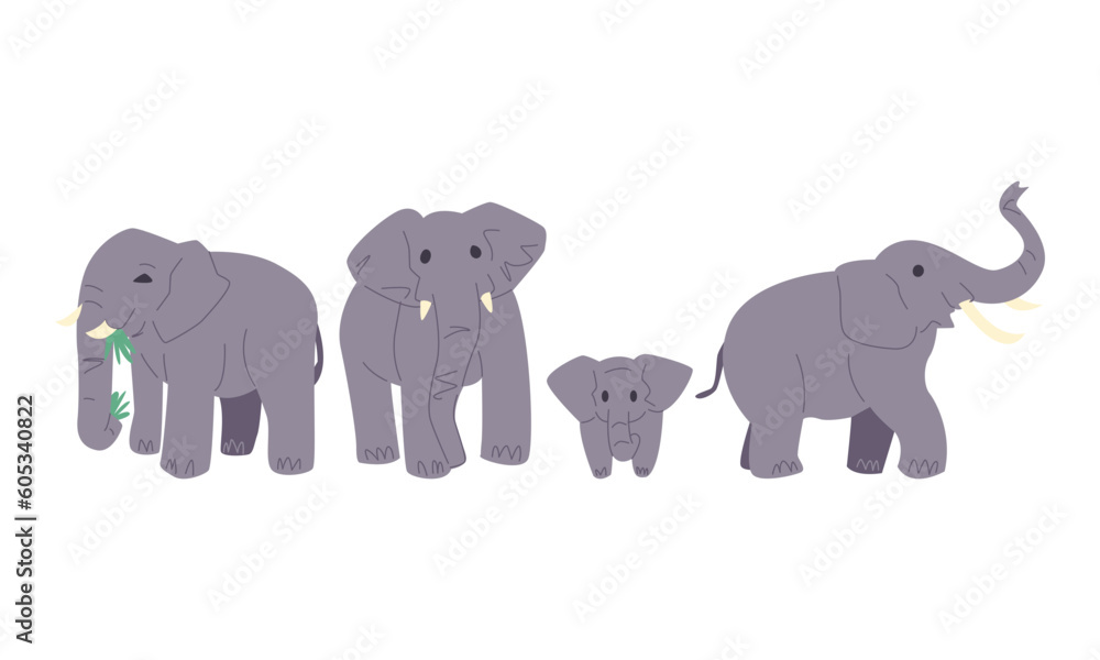 set of cute elephant's in cartoon style. different size, age, pose. isolated on white background. flat vector illustration.