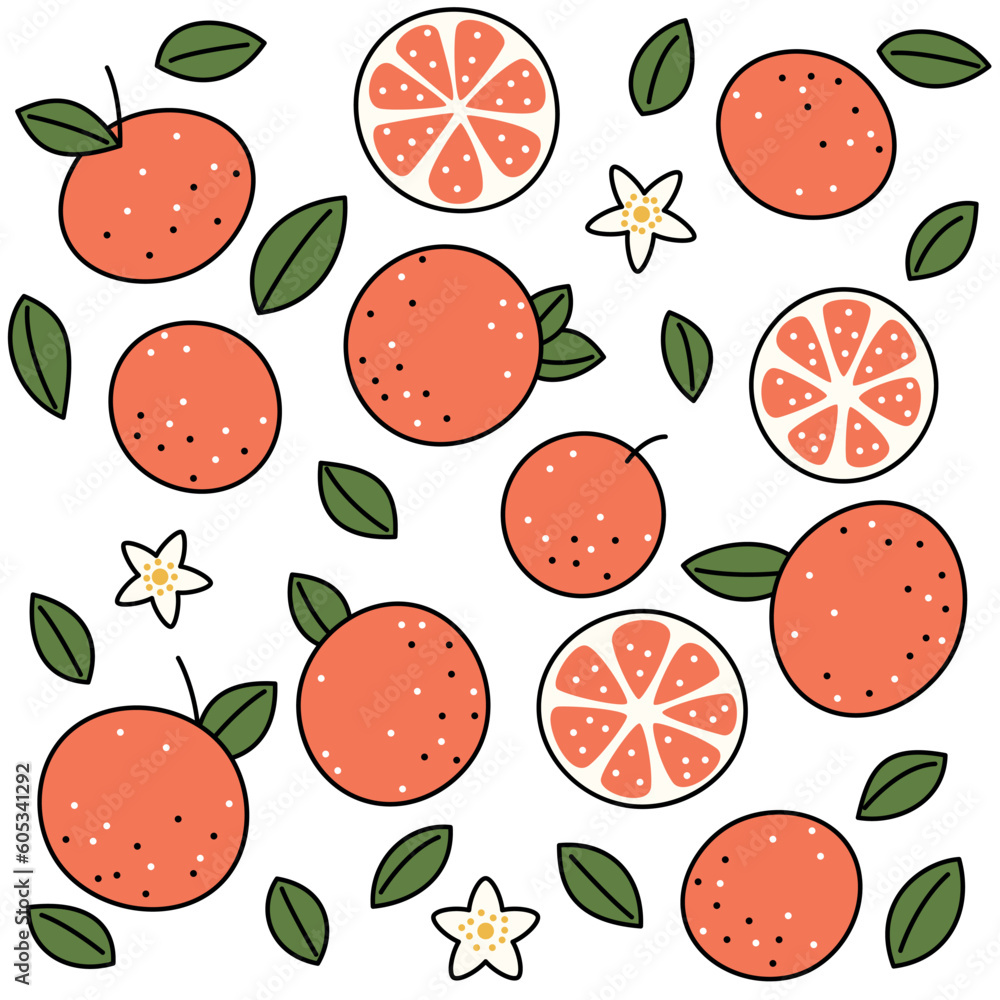 Set with line elements grapefruit, leaves and flowers for decoration Set with line elements grapefruit, leaves and flowers for decoration