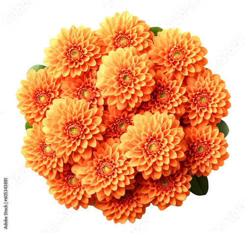 orange chrysanthemum flower isolated on transparent background