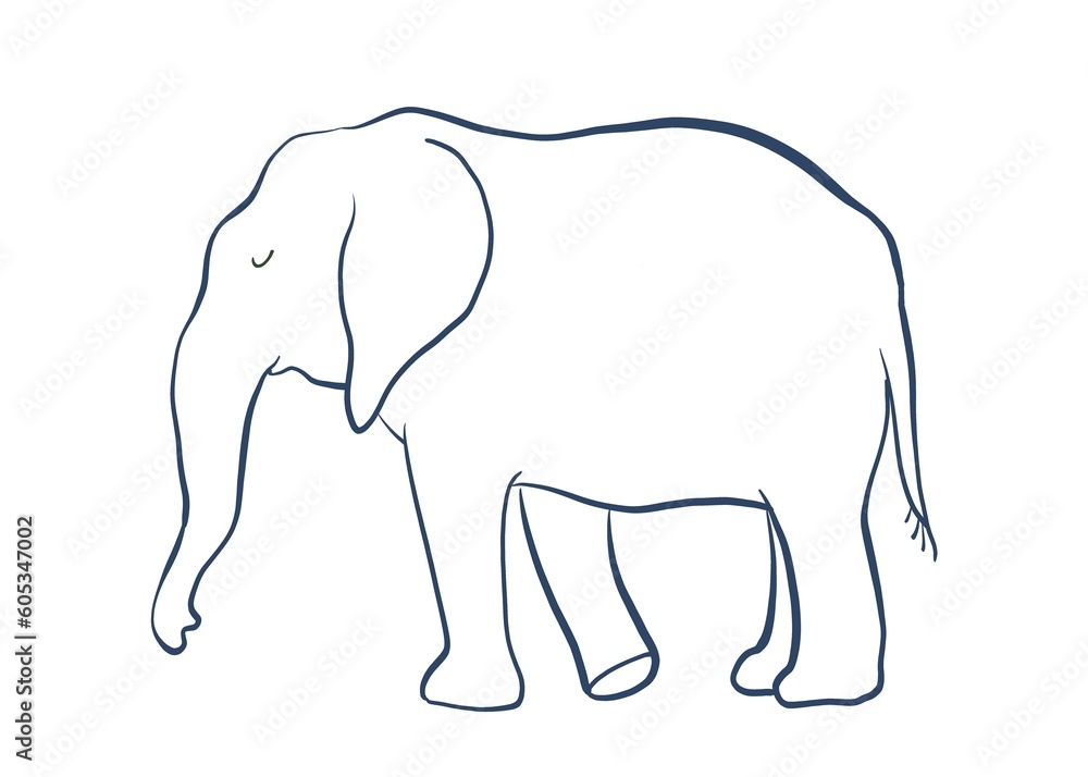 elephant 8