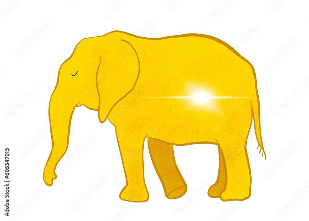 Obraz premium elephant 7