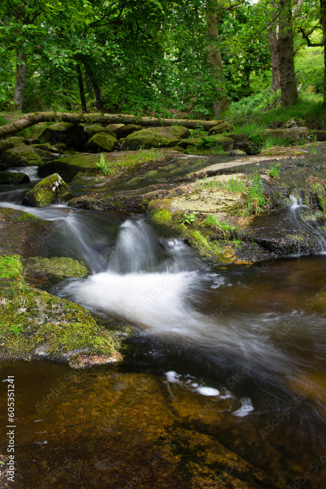 Cloghleagh Falls in Wicklow, Ireland Cloghleagh Falls in Wicklow, Ireland