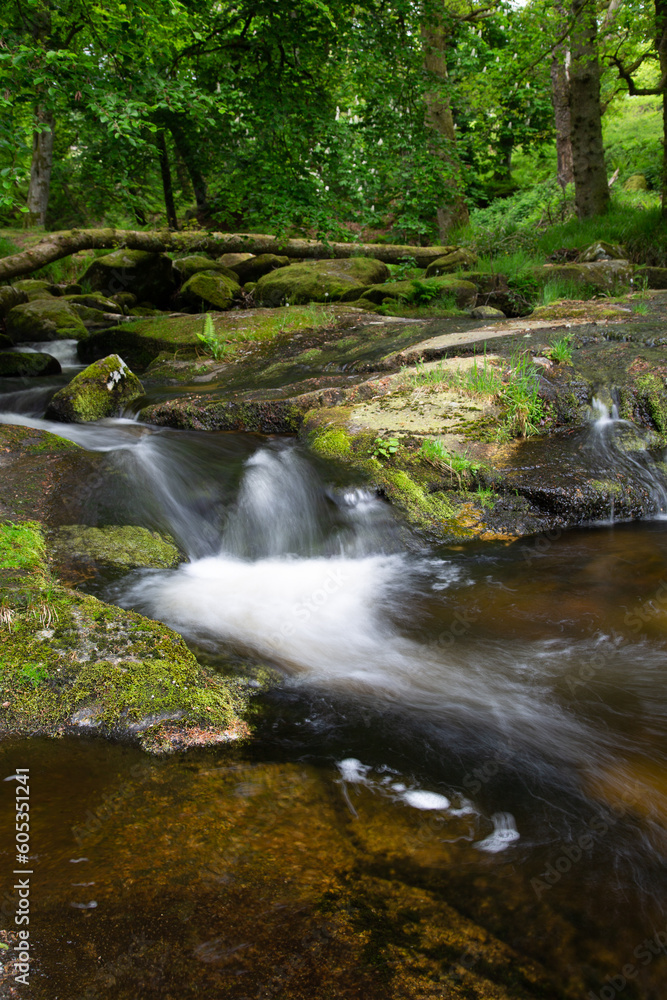 Cloghleagh Falls in Wicklow, Ireland