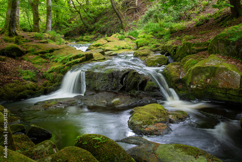 Cloghleagh Falls in Wicklow  Ireland