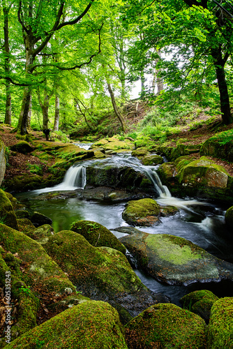 Cloghleagh Falls in Wicklow  Ireland
