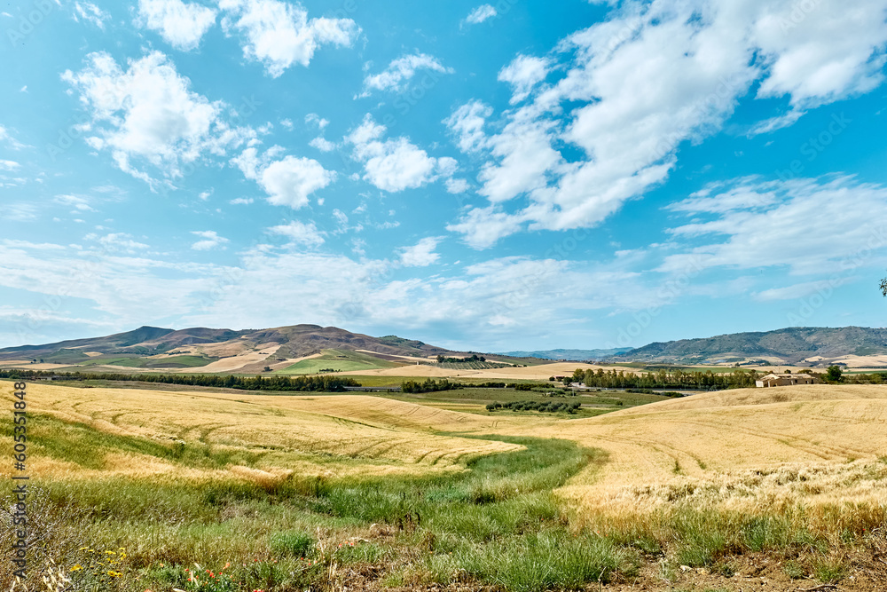 Beautiful summer landscape with golden wheat field, blue sky with white clouds, winding road leading to mountains hills in horizon.