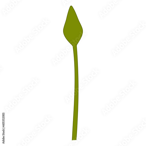 Lotus, water lily flower bud hand drawn illustration. Line art, drawing style design, isolated vector. Mid Autumn Festival floral, botanical element, beautiful Asian flora, blossom, bloom, plant