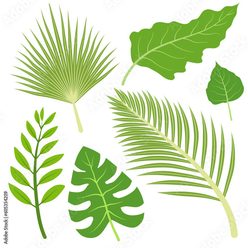 set of green exotic tropical leaves