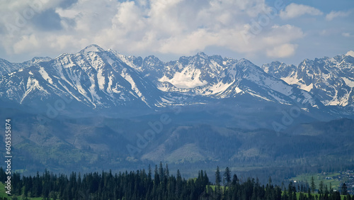 Panorama of Tatra Mountains in the snow from the north.  