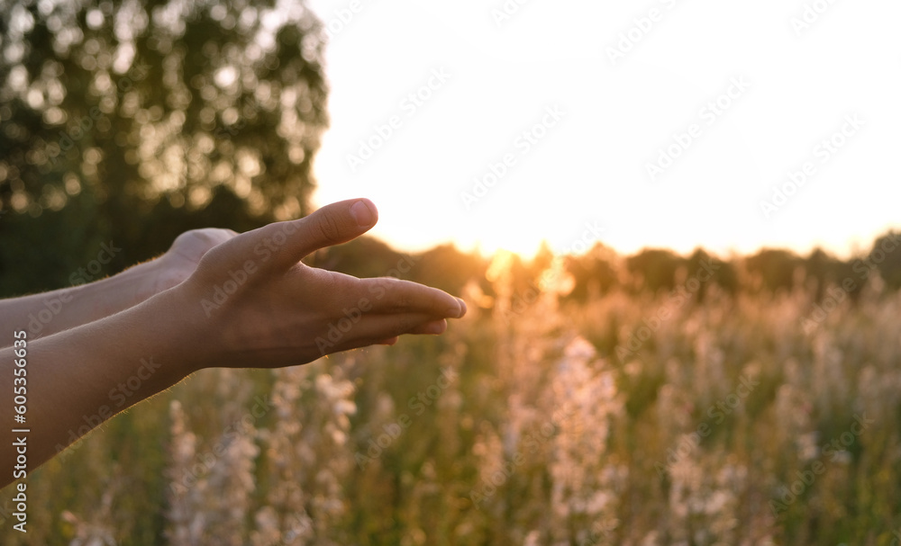 man's palms in pray and worship against sunny natural blurred background. Blessing, Repent, Help, hope, faith, devotion of God. symbol Belief in God. Religion, spirituality concept. copy space - obrazy, fototapety, plakaty 