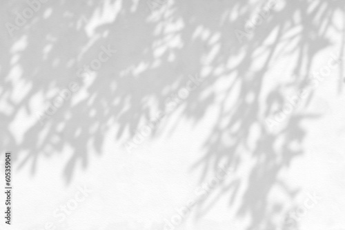 Abstract leaf shadow and light blurred background. Natural leaves tree branch shadows and sunlight dappled on white concrete wall texture for background wallpaper and design, shadow overlay effect
