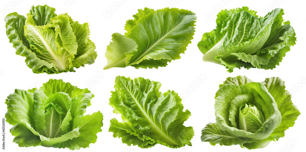 Set of fresh lettuce leaves, cut out. Based on Generative AI - obrazy, fototapety, plakaty 