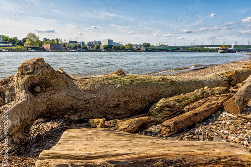 Die ehemalige Bundeshauptstadt Bonn am Rhein