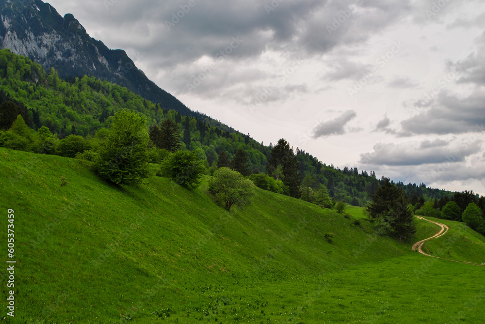 Small path in an alpine meadow on a cloudy day