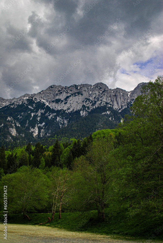 Obraz premium Portrait photo of a landscape of the Bucegi , Brasov Romania
