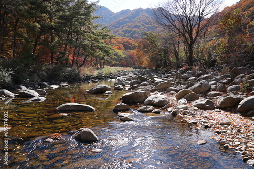 stream in the mountains
