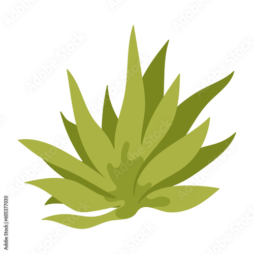 Tropic leaf, flower, colorful handrawn flat illustration.
