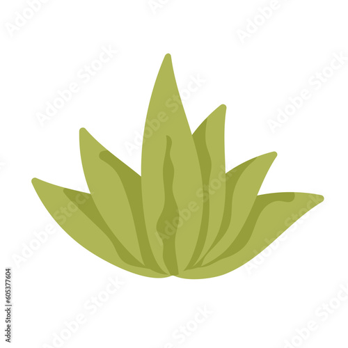 Tropic leaf, flower, colorful handrawn flat illustration.