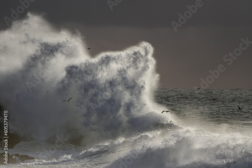 Big stormy wave splash © Zacarias da Mata