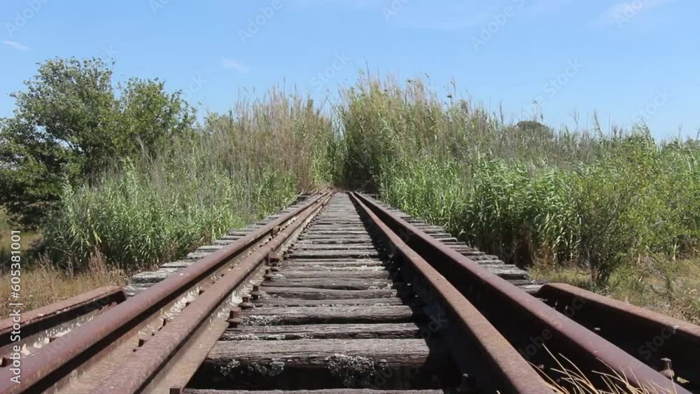 This captivating video features an old, rusty railway bridge with a mesmerizing perspective, leading towards a backdrop of Spanish Giant Reeds (Arundo donax). Witness the unique combination of industr This captivating video features an old, rusty railway bridge with a mesmerizing perspective, leading towards a backdrop of Spanish Giant Reeds (Arundo donax). Witness the unique combination of industr