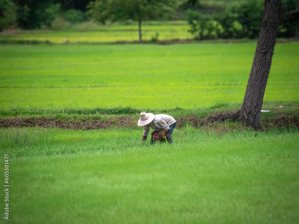 Obraz premium Kanchanaburi