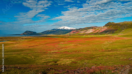 Snaefellsjokull volcano peak covered with snow cap. Panoramic over Icelandic colorful and wild landscape with meadow and moss field, volcanic black sand and lava at summer, Iceland